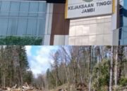 Skandal Kehutanan Jambi: Negara Rugi Puluhan Miliar, Kejati Diduga “Lembek