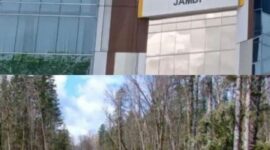 Skandal Kehutanan Jambi: Negara Rugi Puluhan Miliar, Kejati Diduga 