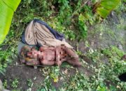 TNI Dan TPNPB Baku Tembak di Kampung Aruli Desa Aleng Kabupaten Yahukimo