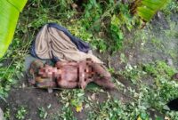 Foto Korban, Baku Tembak di Kampung Aruli Desa Aleng